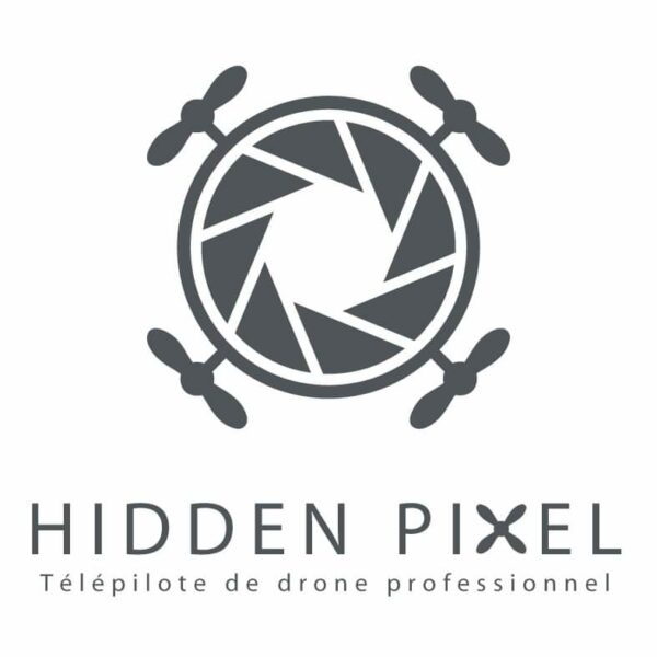 Logo Hidden Pixel