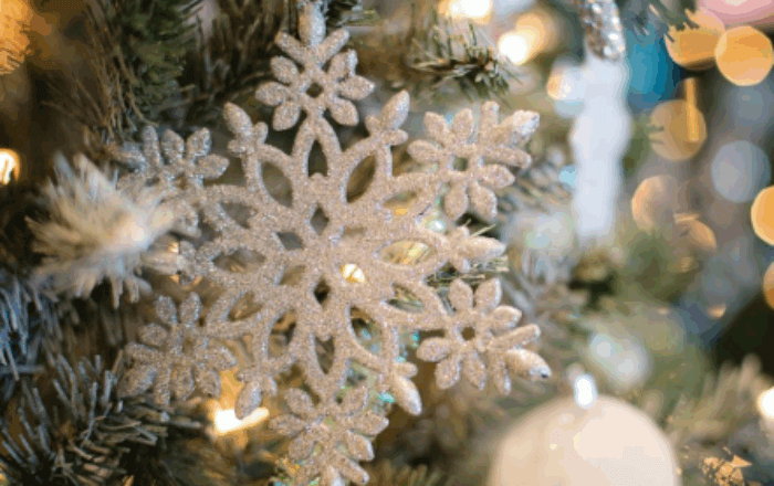 [CEPR] Plénière Festive décembre 2025